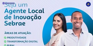 programa ali do sebrae