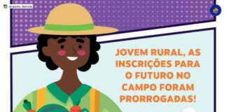 programa jovem rural