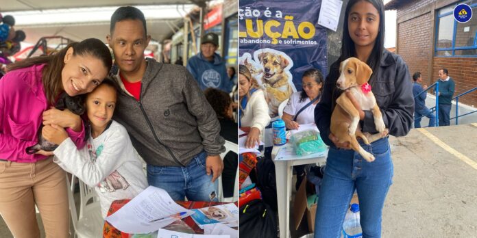 noticias de capelinha