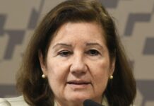 noticias de capelinha