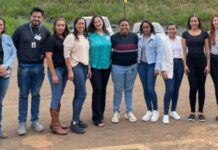 noticias de capelinha