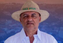 noticias de capelinha