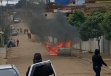 noticias de angelandia