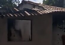 noticias de berilo