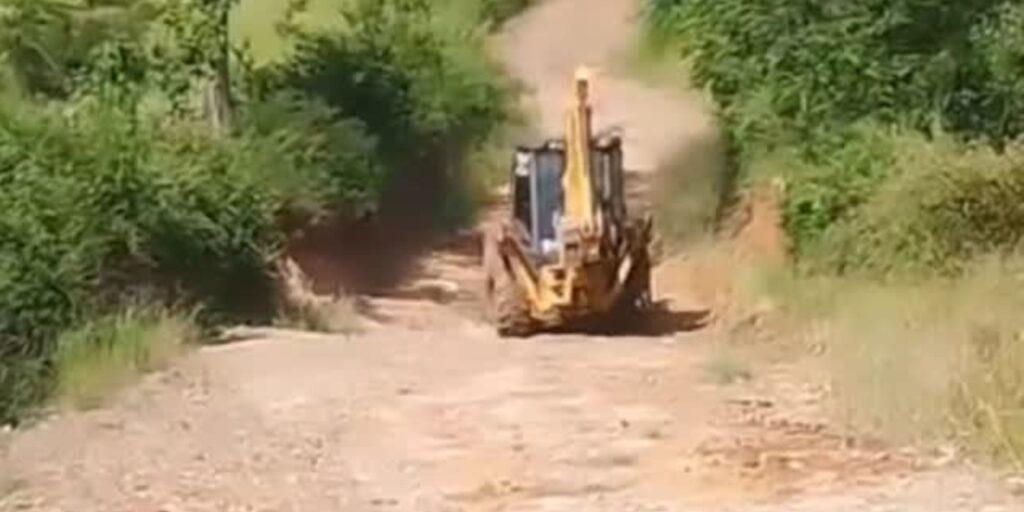 noticias de francisco badaro