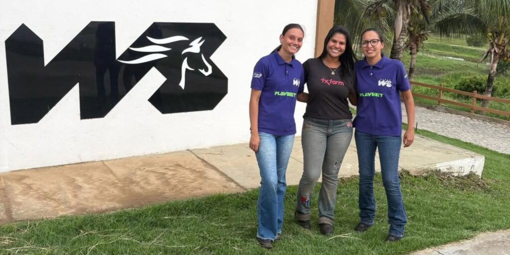 noticias de virgem da lapa