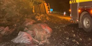 noticias de capelinha