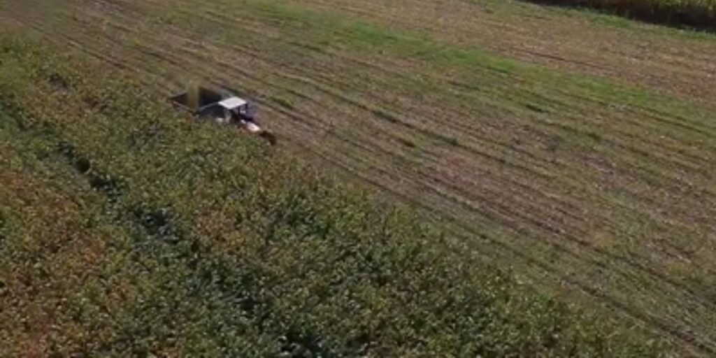 noticias de angelandia