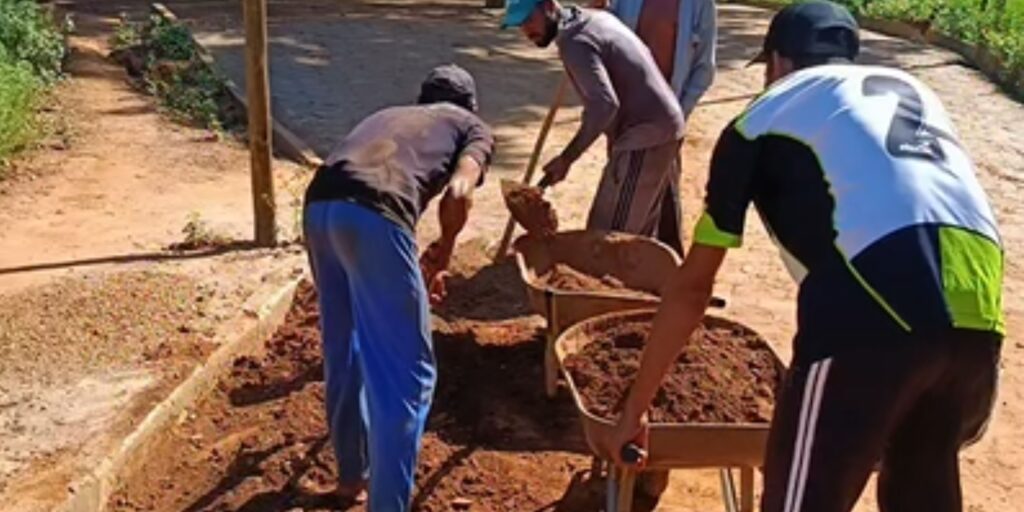 noticias de francisco badaro