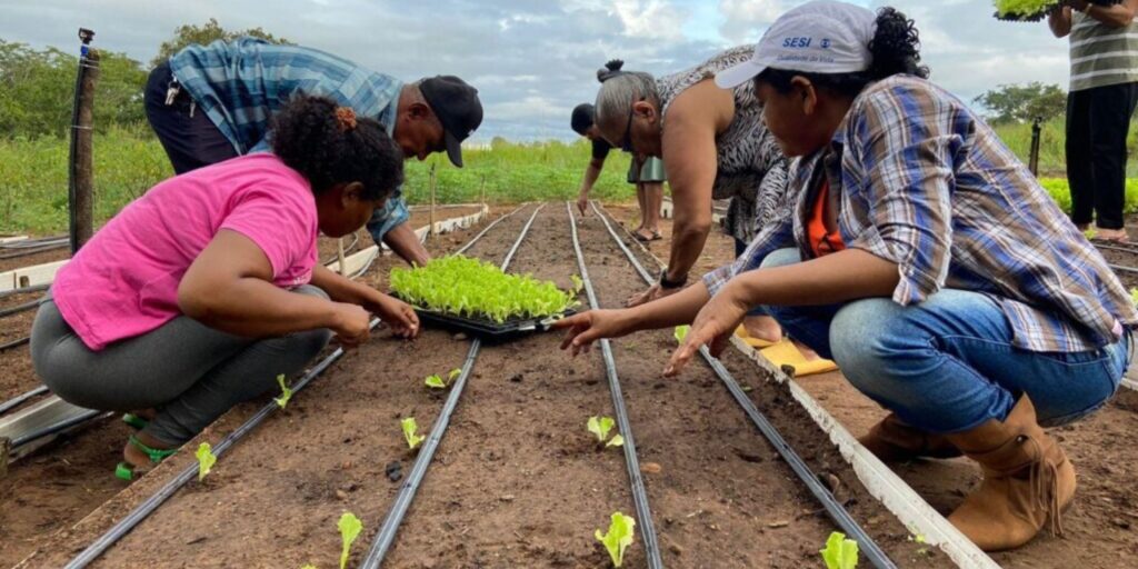 noticias de ladainha