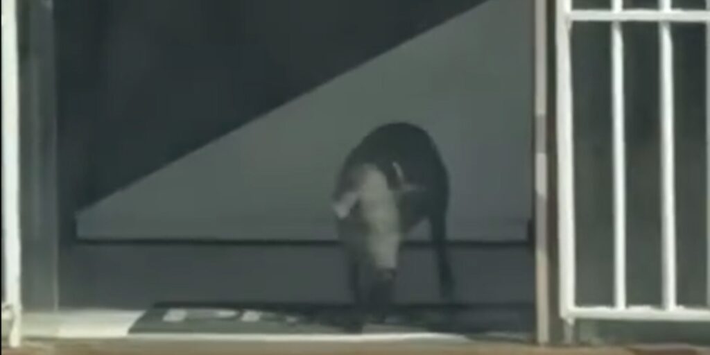 noticias de itamarandiba