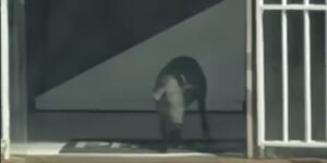 noticias de itamarandiba