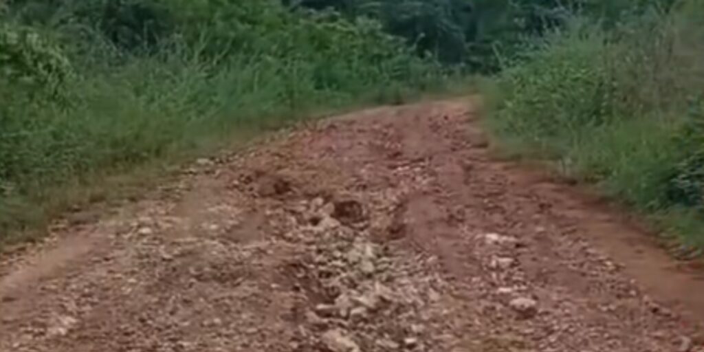 noticias de chapada do norte