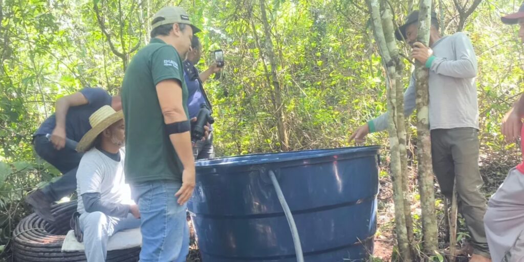 noticias de setubinha