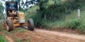 noticias de francisco badaro