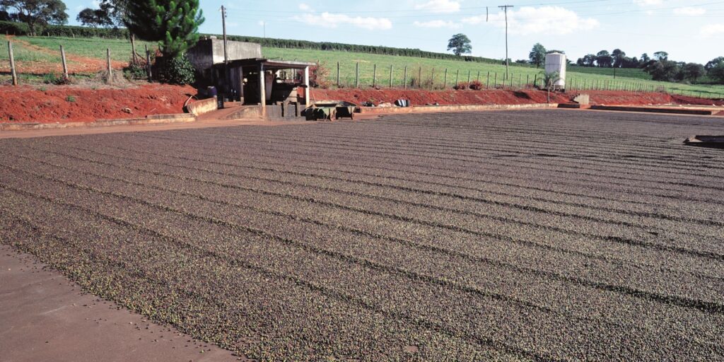 noticias de angelandia