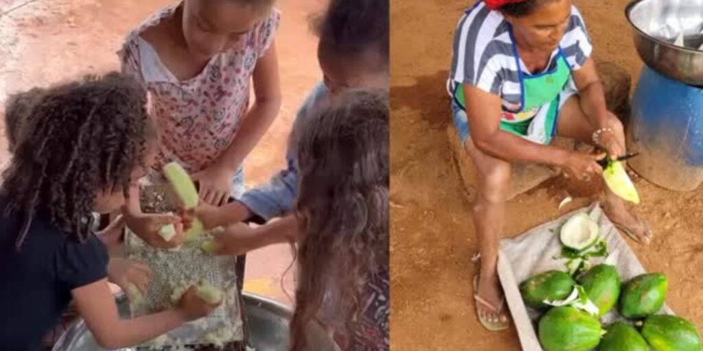 noticias de setubinha