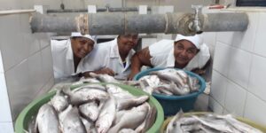 noticias de itamarandiba