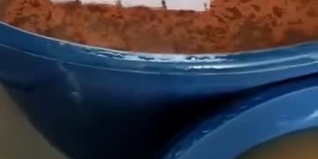 noticias de novo cruzeiro