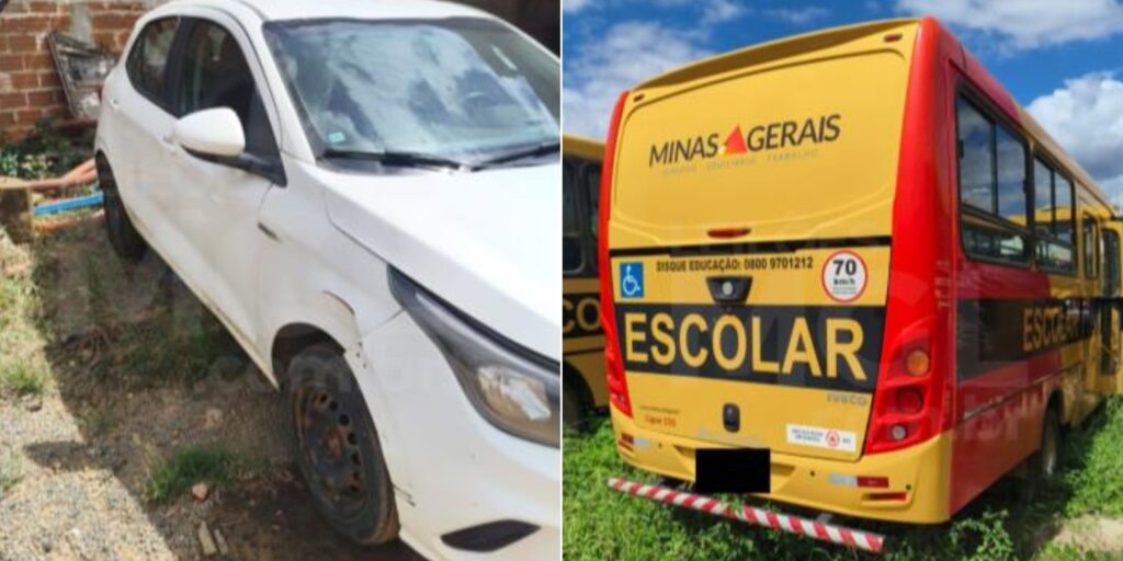 noticias de jenipapo de minasa