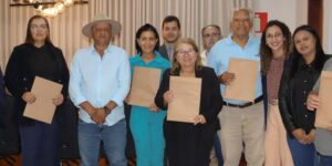 noticias de capelinha