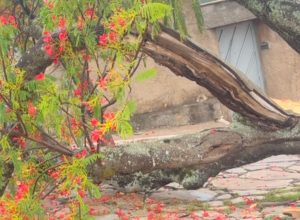 BANNER SITE (6)