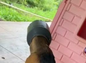 CAPA - Gazeta dos Vales (1)