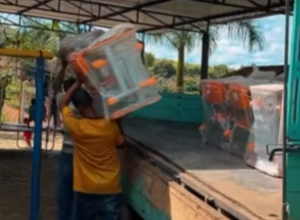 CAPA - Gazeta dos Vales (11)