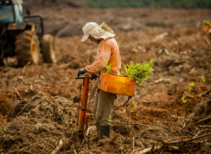 CAPA - Gazeta dos Vales (14)