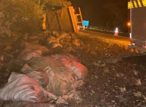 noticias de capelinha