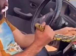 CAPA - Gazeta dos Vales (15)