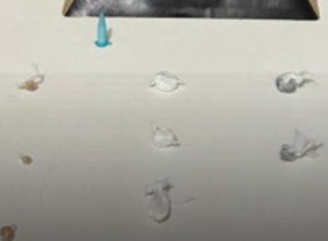 CAPA - Gazeta dos Vales (17)