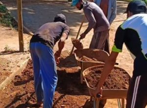 noticias de francisco badaro