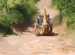 noticias de francisco badaro