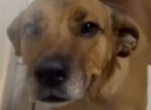 CAPA - Gazeta dos Vales - 2026-02-23T085535.765