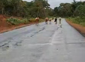 CAPA - Gazeta dos Vales - 2026-02-24T095620.973