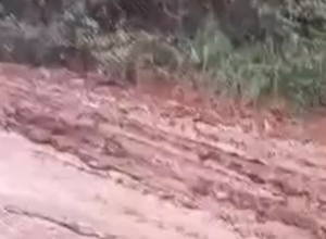 CAPA - Gazeta dos Vales - 2026-02-25T091503.195