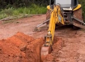 noticias de veredinha