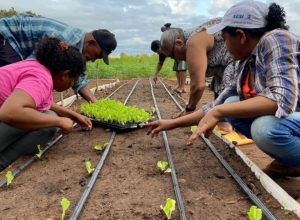 noticias de ladainha