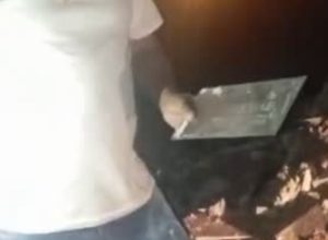 noticias de virgem da lapa