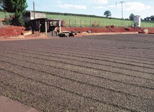 noticias de angelandia