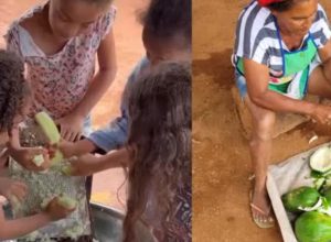 noticias de setubinha