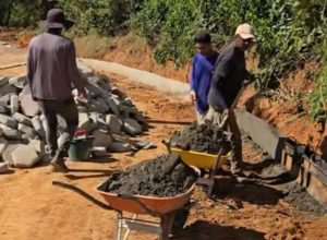 noticias de francisco badaro