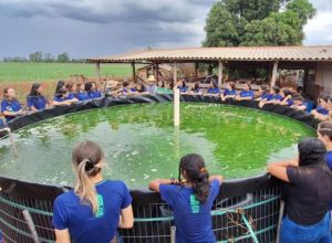 noticias de itamarandiba