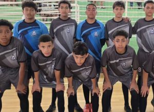 noticias de capelinha