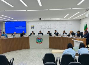 camara de capelinha