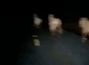 CAPA - Gazeta dos Vales (28)