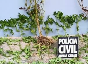 CAPA - Gazeta dos Vales (3)