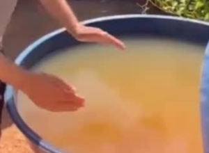 CAPA - Gazeta dos Vales (30)