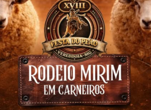 CAPA - Gazeta dos Vales (31)